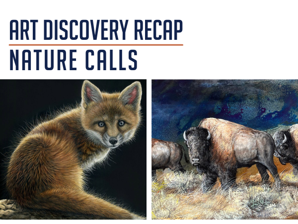 art discovery recap nature calls